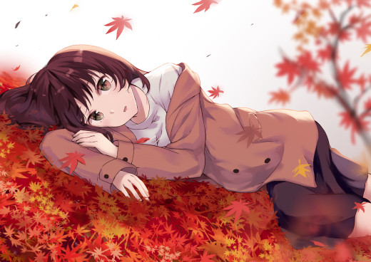 1244356 (a): :1920x1357